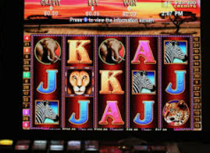 im电竞APP下载免费版